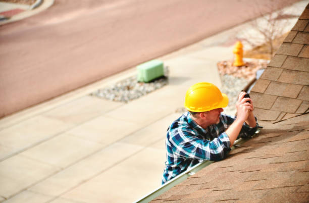 Roof Gutter Cleaning in Hometown, IL